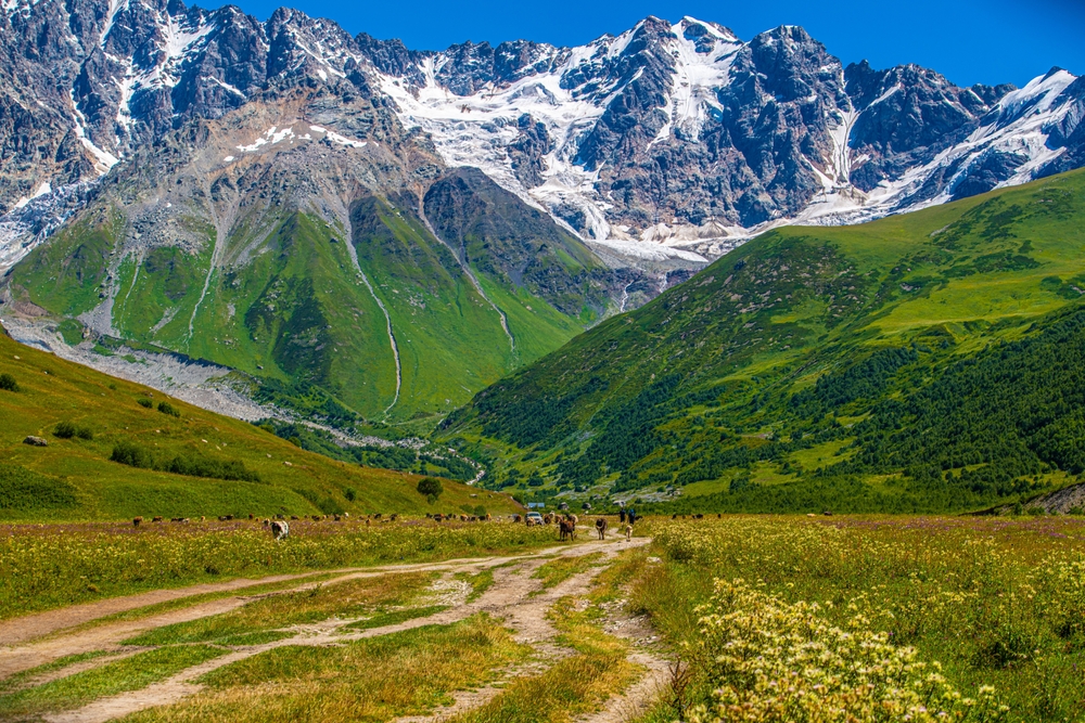 Georgien: Ausführlich