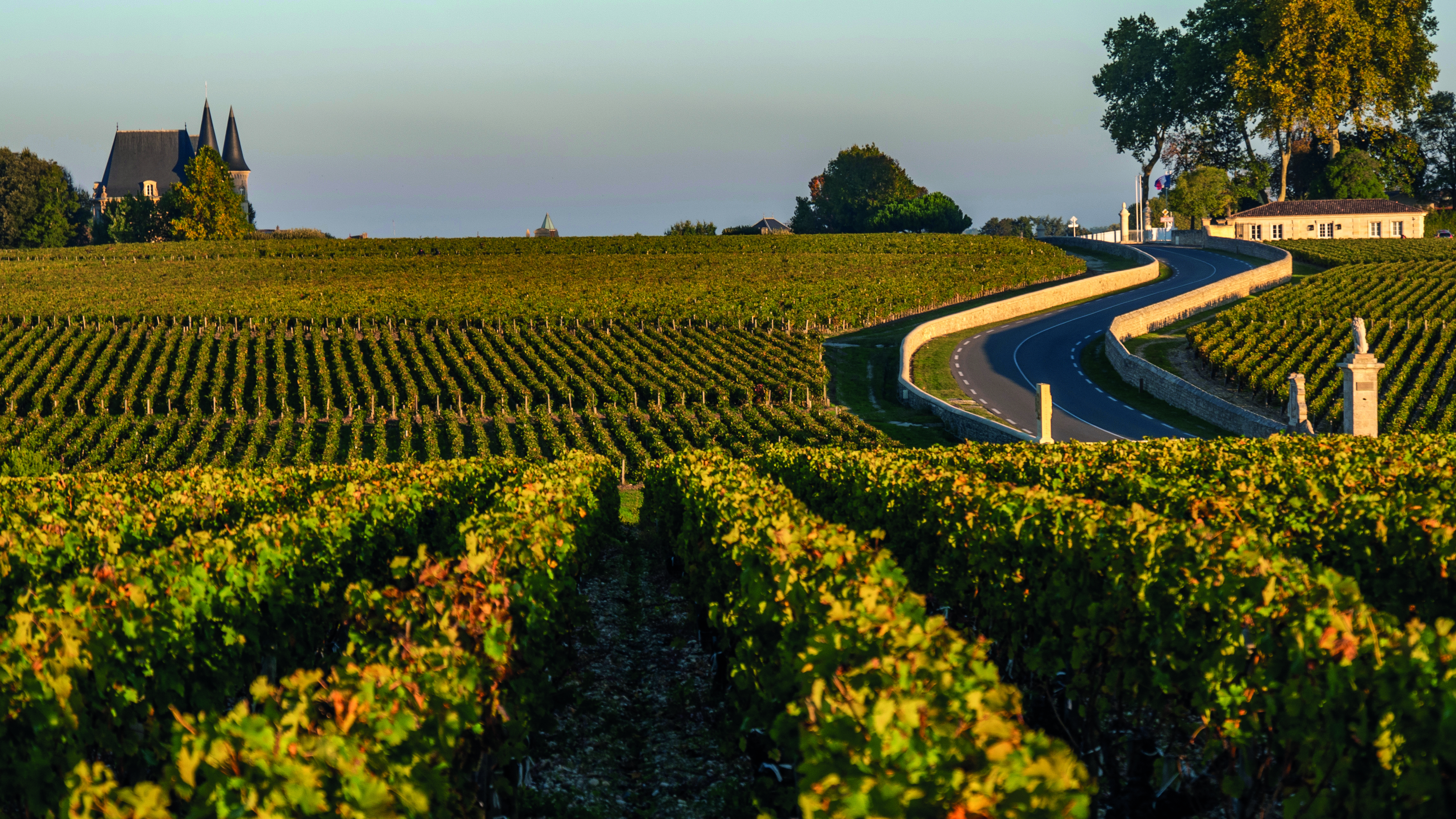 Bordeaux & Atlantik: Genussreise durch Bordeaux – zwischen Wein und Atlantik