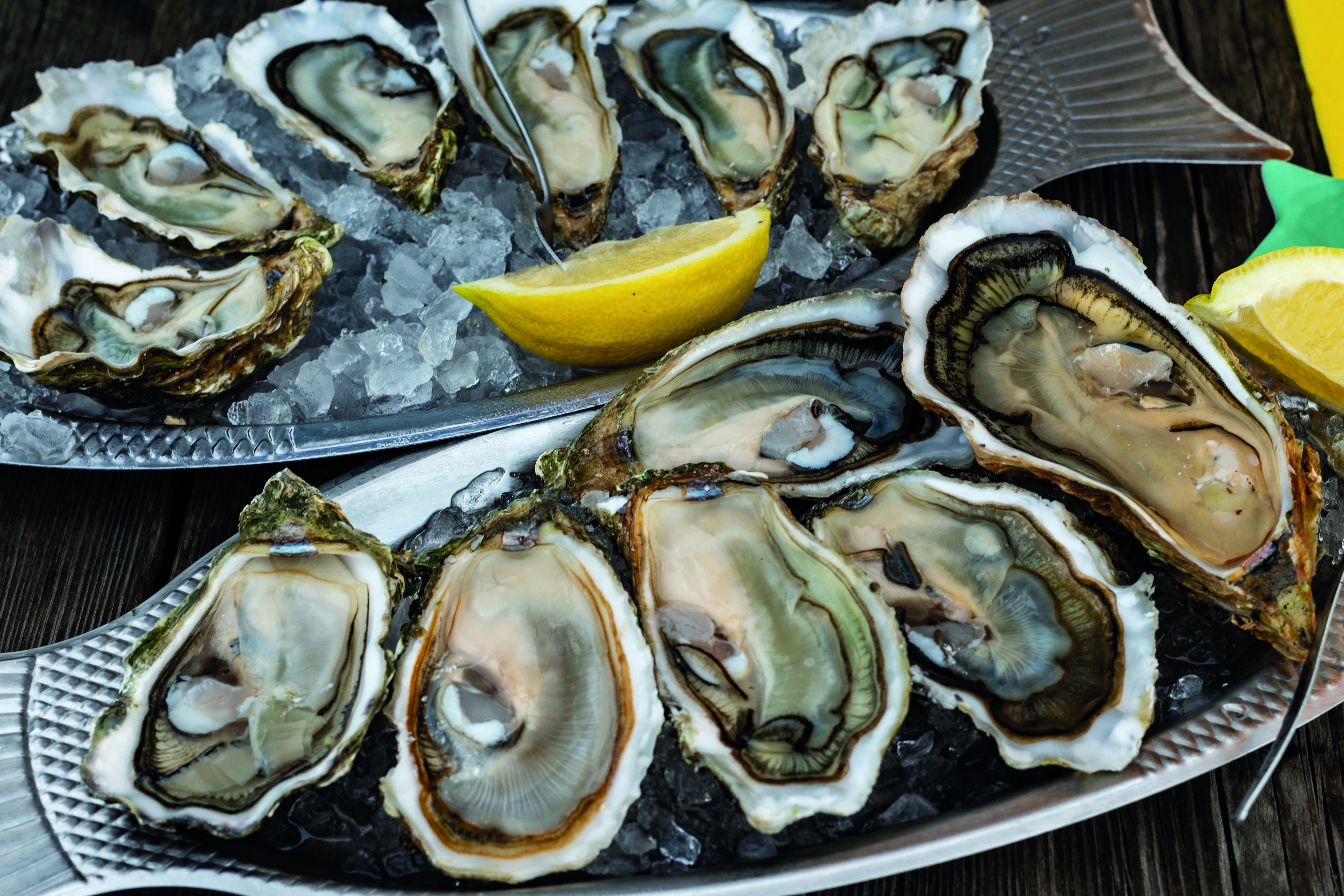 Bordeaux & Atlantik: Genussreise durch Bordeaux – zwischen Wein und Atlantik