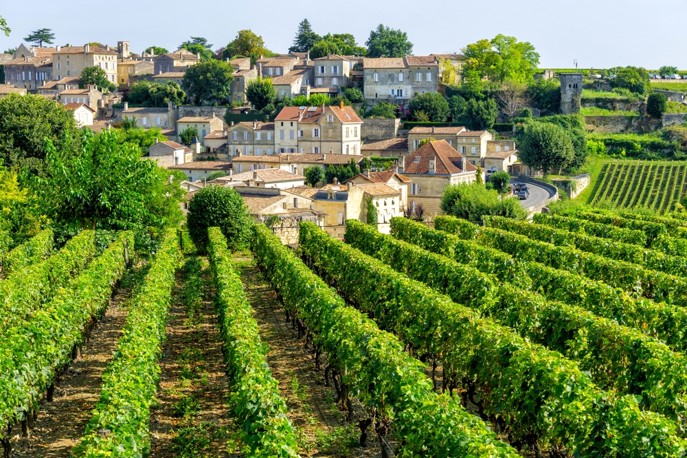 Bordeaux & Atlantik: Genussreise durch Bordeaux – zwischen Wein und Atlantik