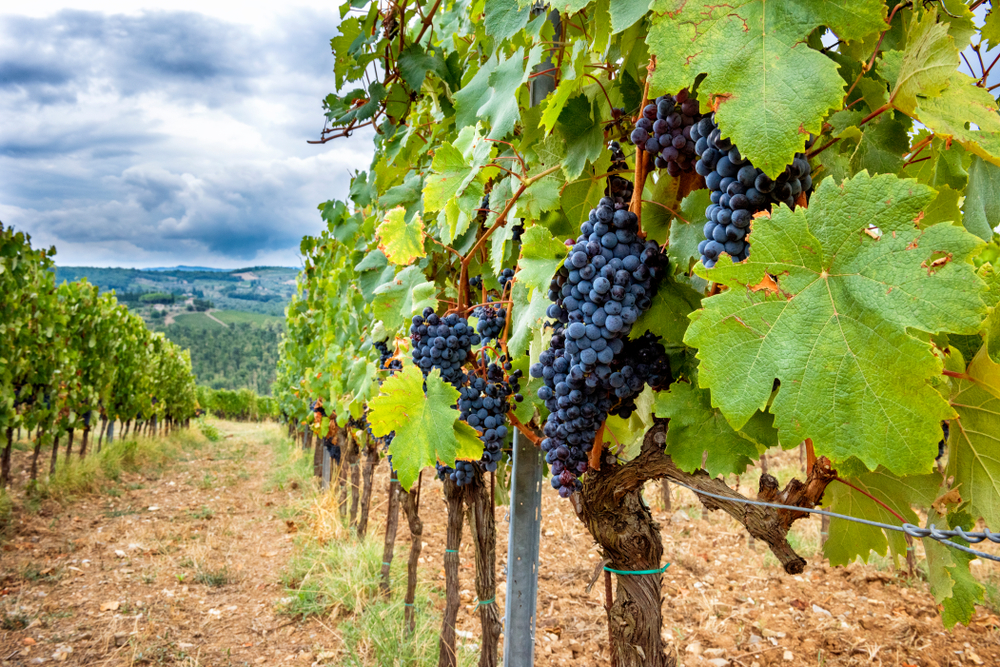 Toskana: mit Flair rund um das Chianti Classico