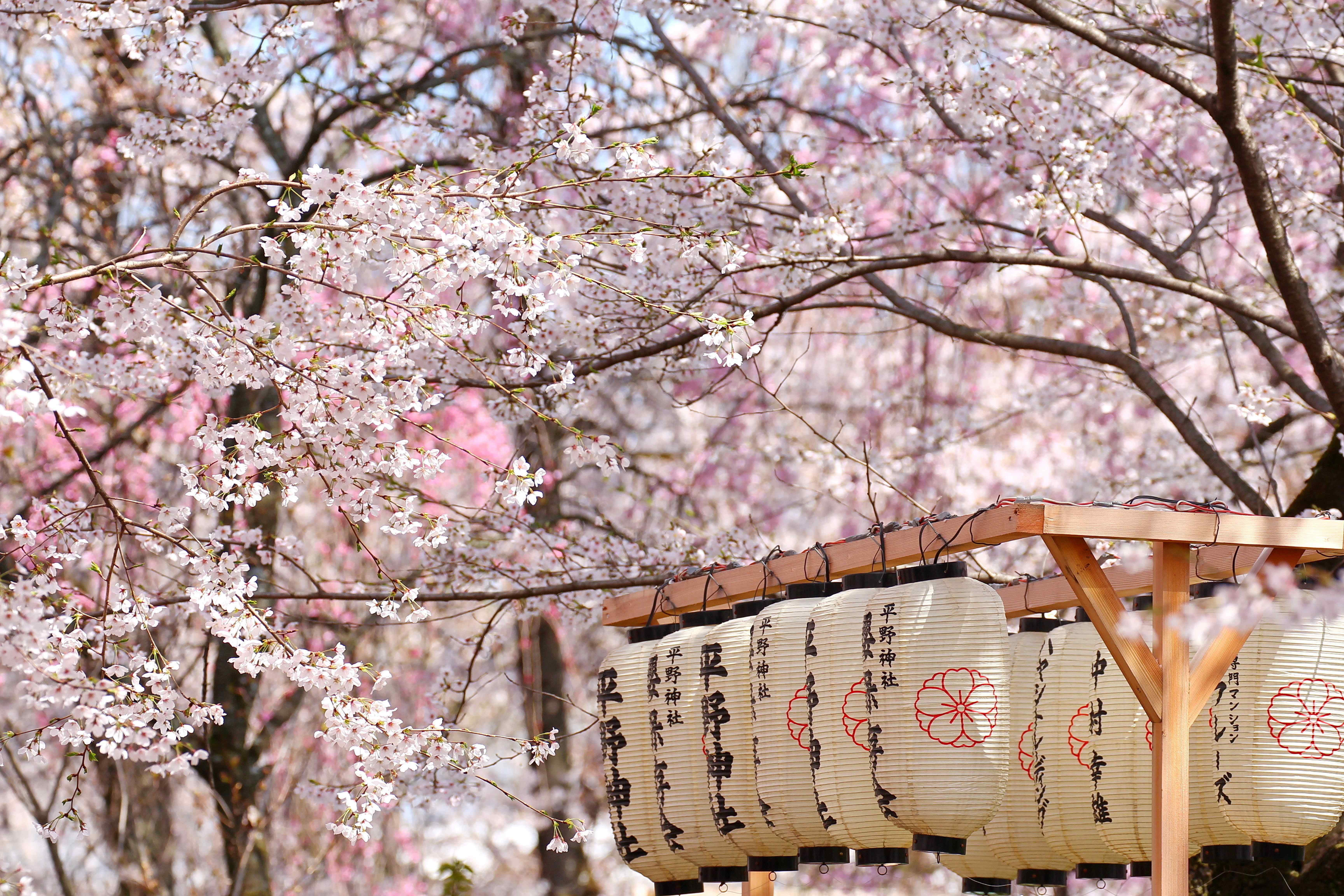 Japan: Höhepunkte