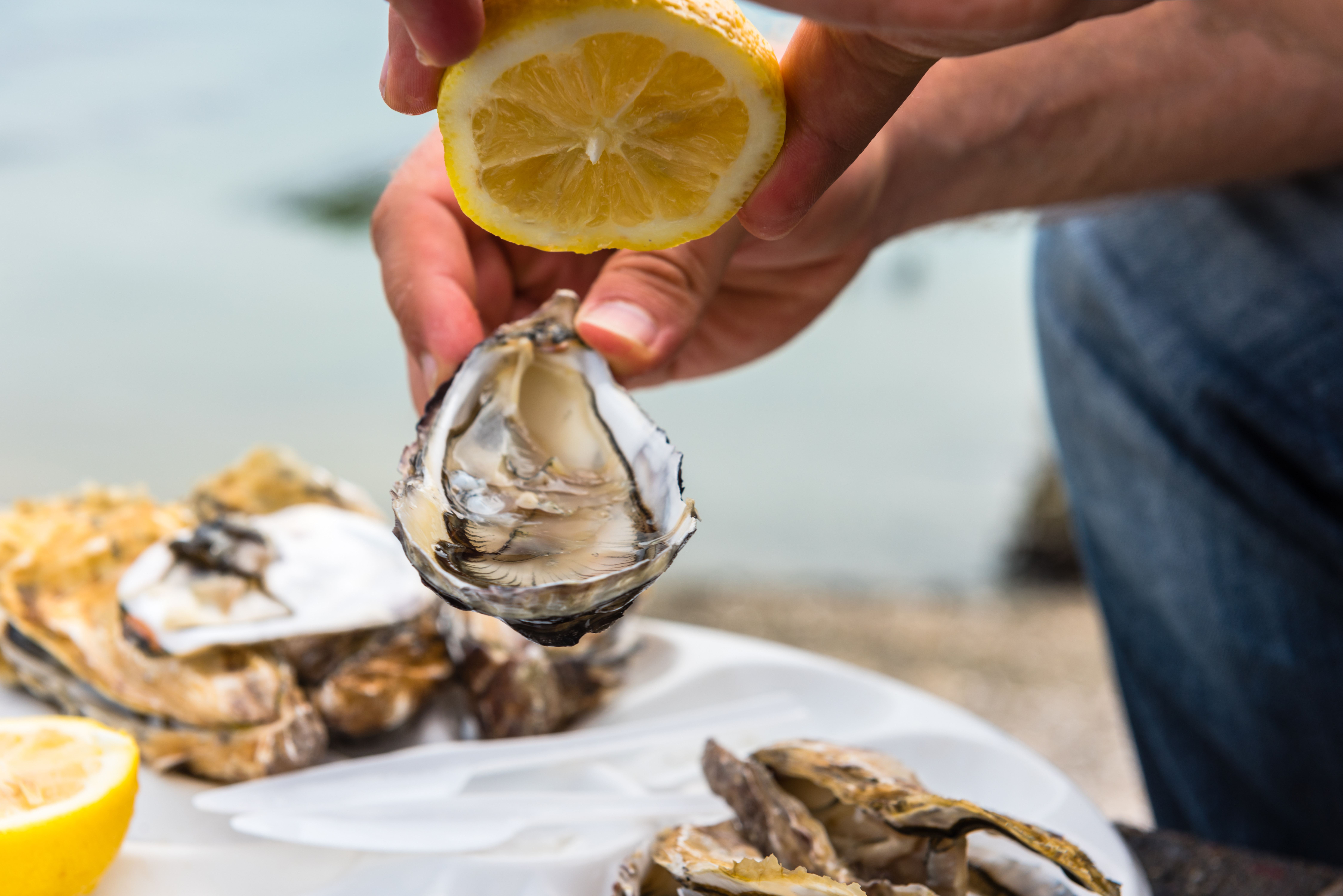 Bretagne: Kultur & Genuss
