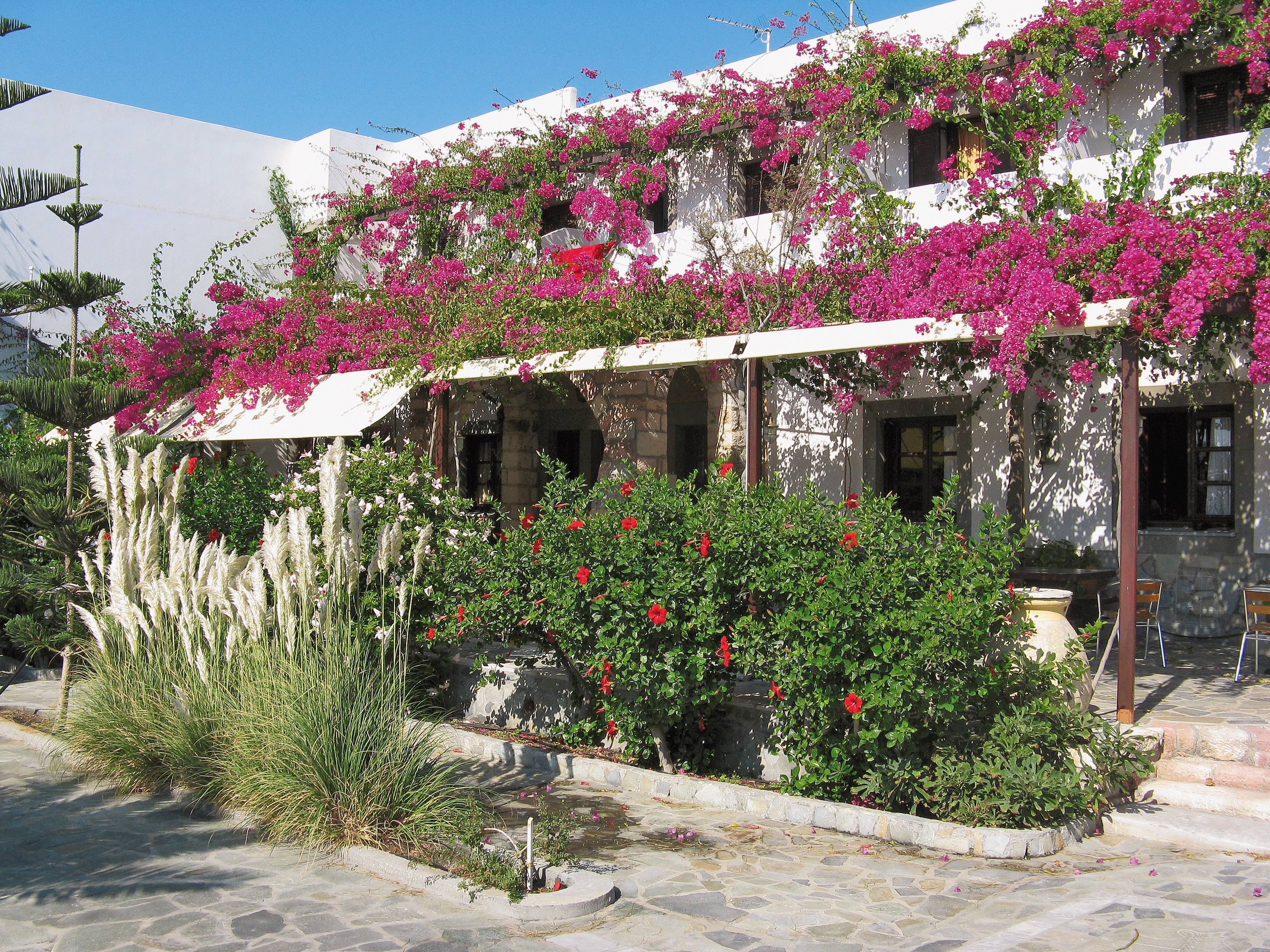 Patmos: Kreativurlaub