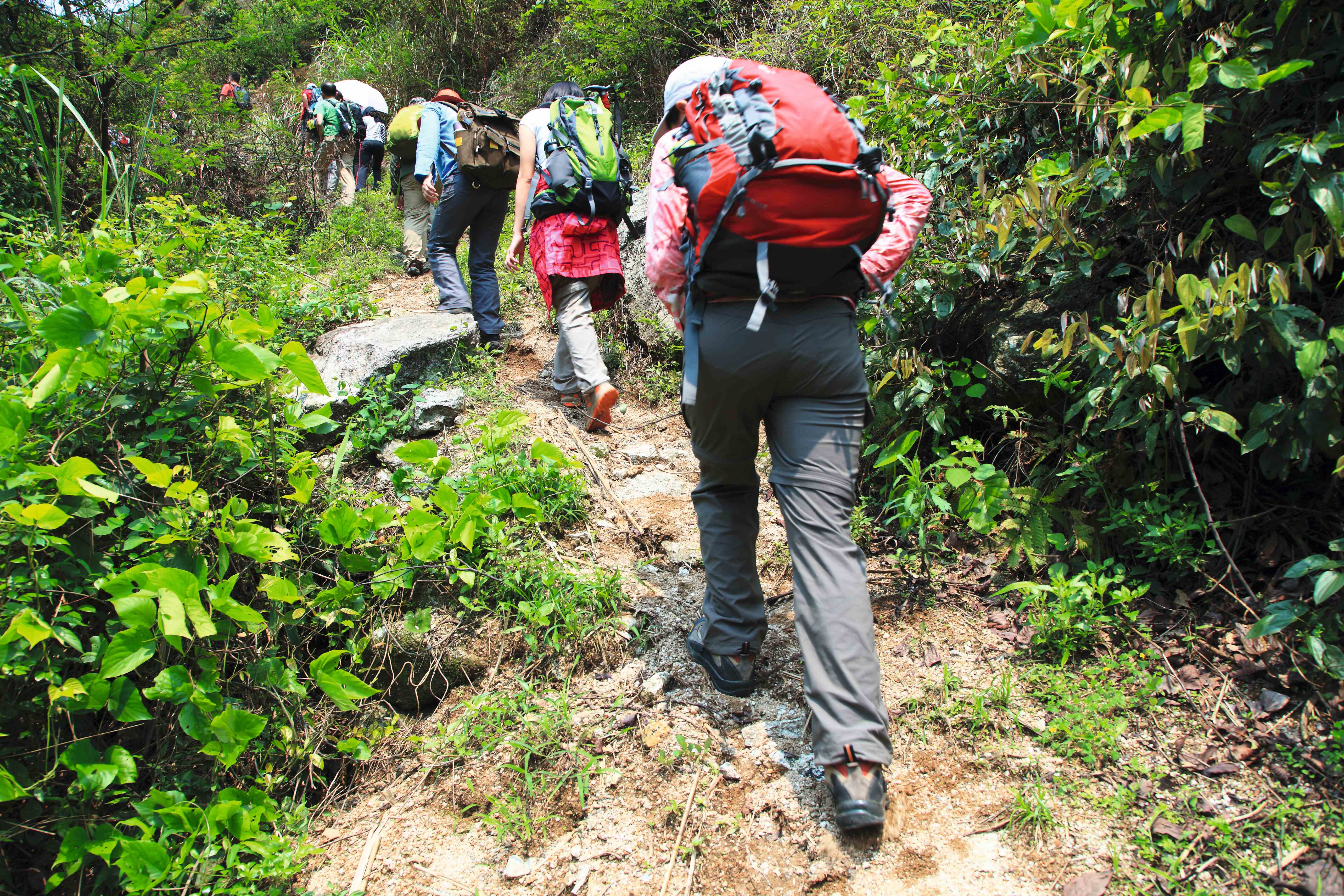 Ischia: Wandern