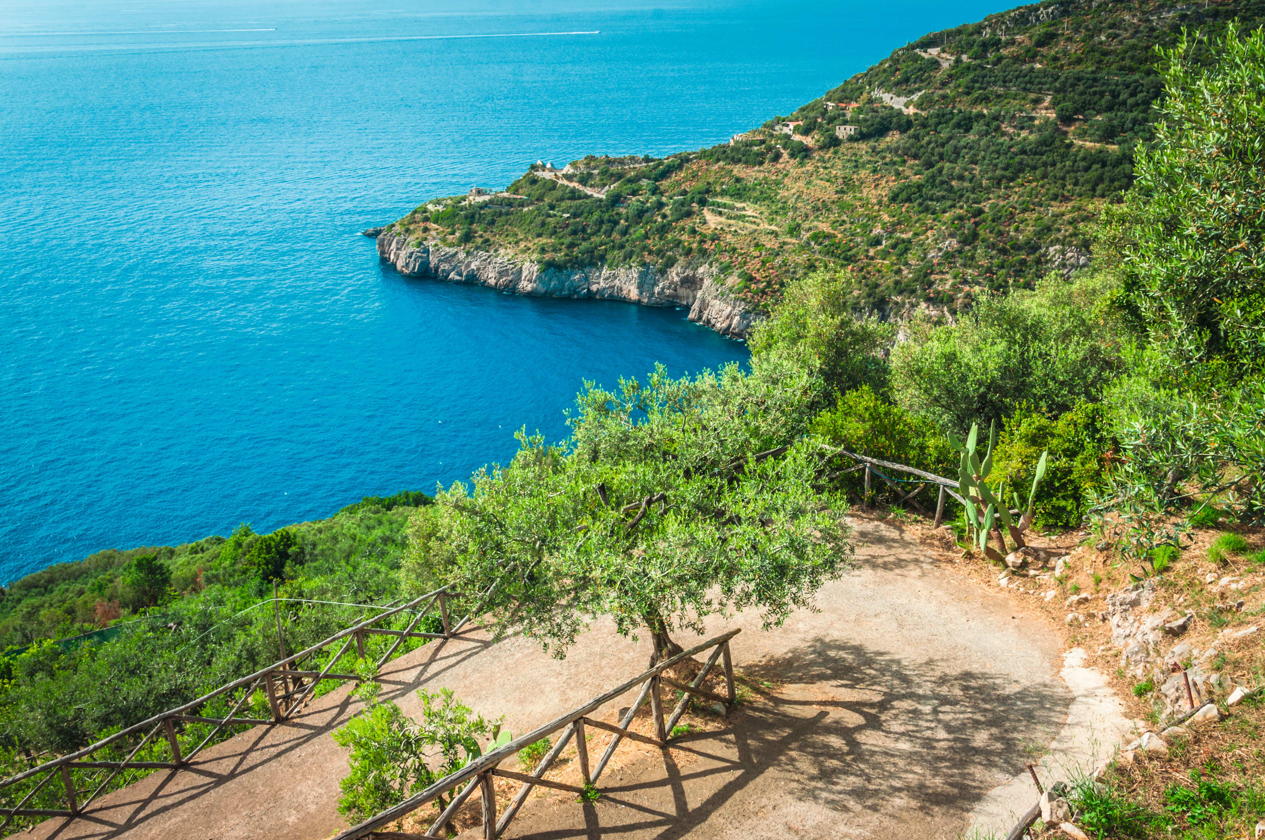 Ischia: Wandern