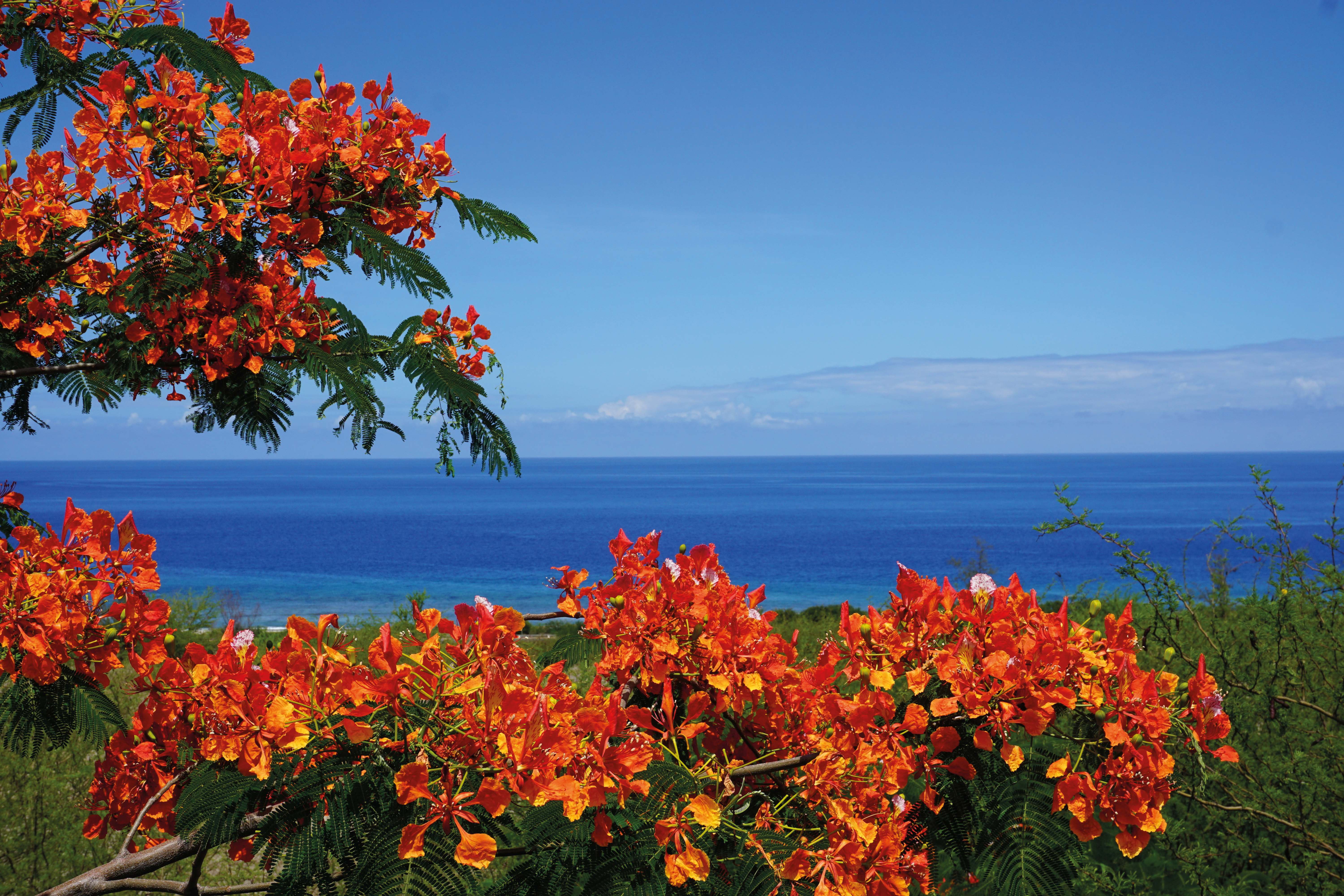 La Réunion: Höhepunkte