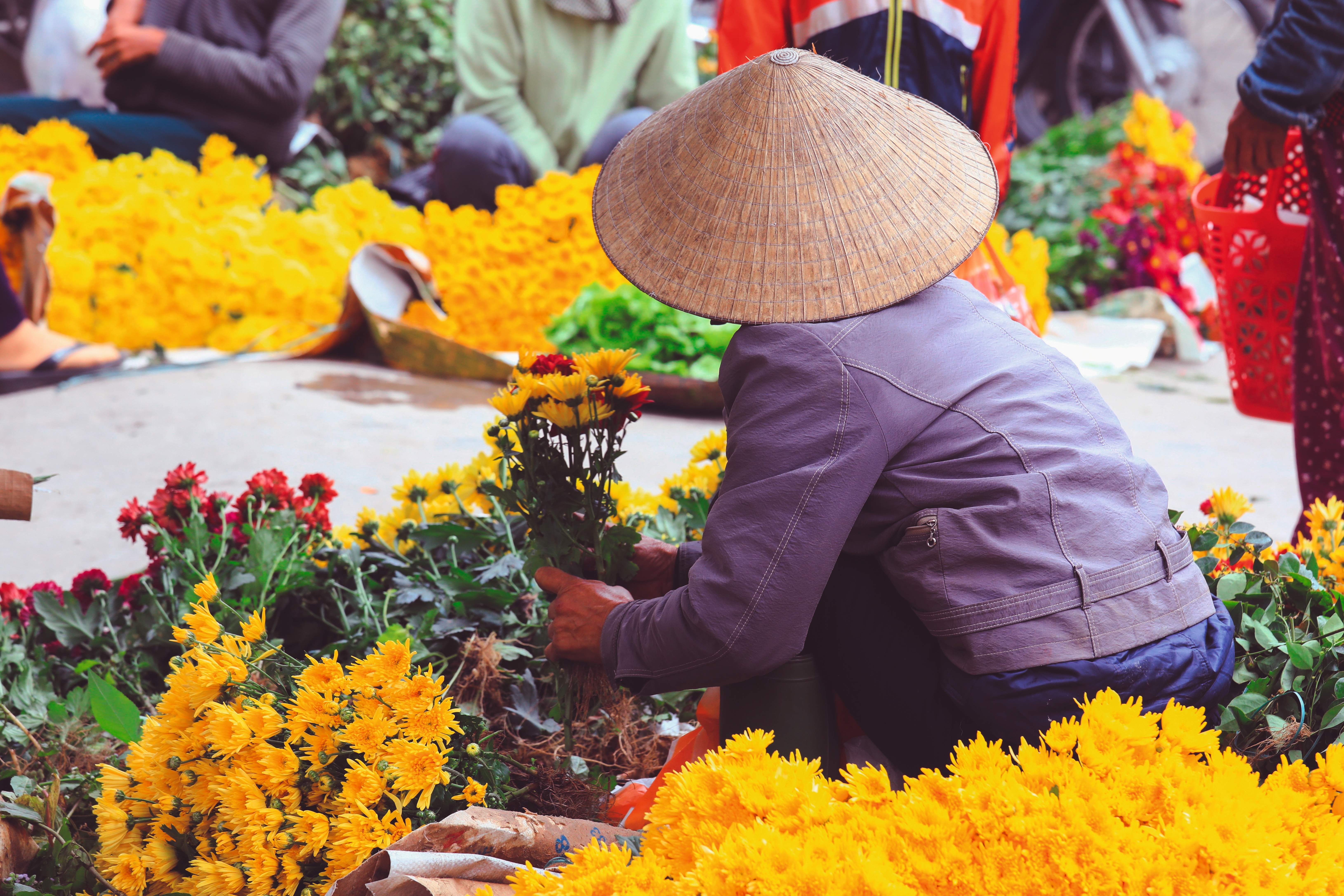 Vietnam: Höhepunkte mit Zentralvietnam