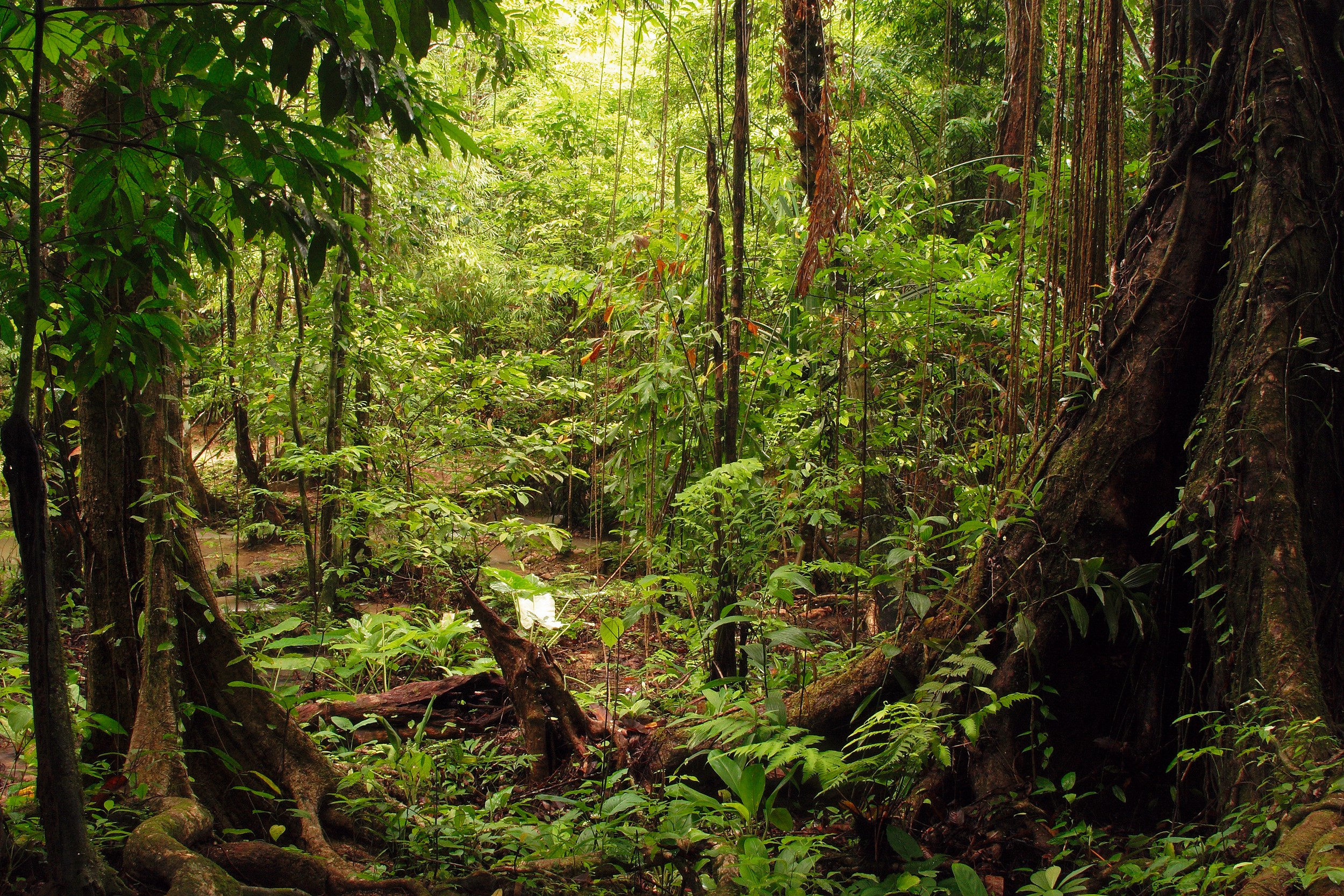 Thailand: Höhepunkte im Süden
