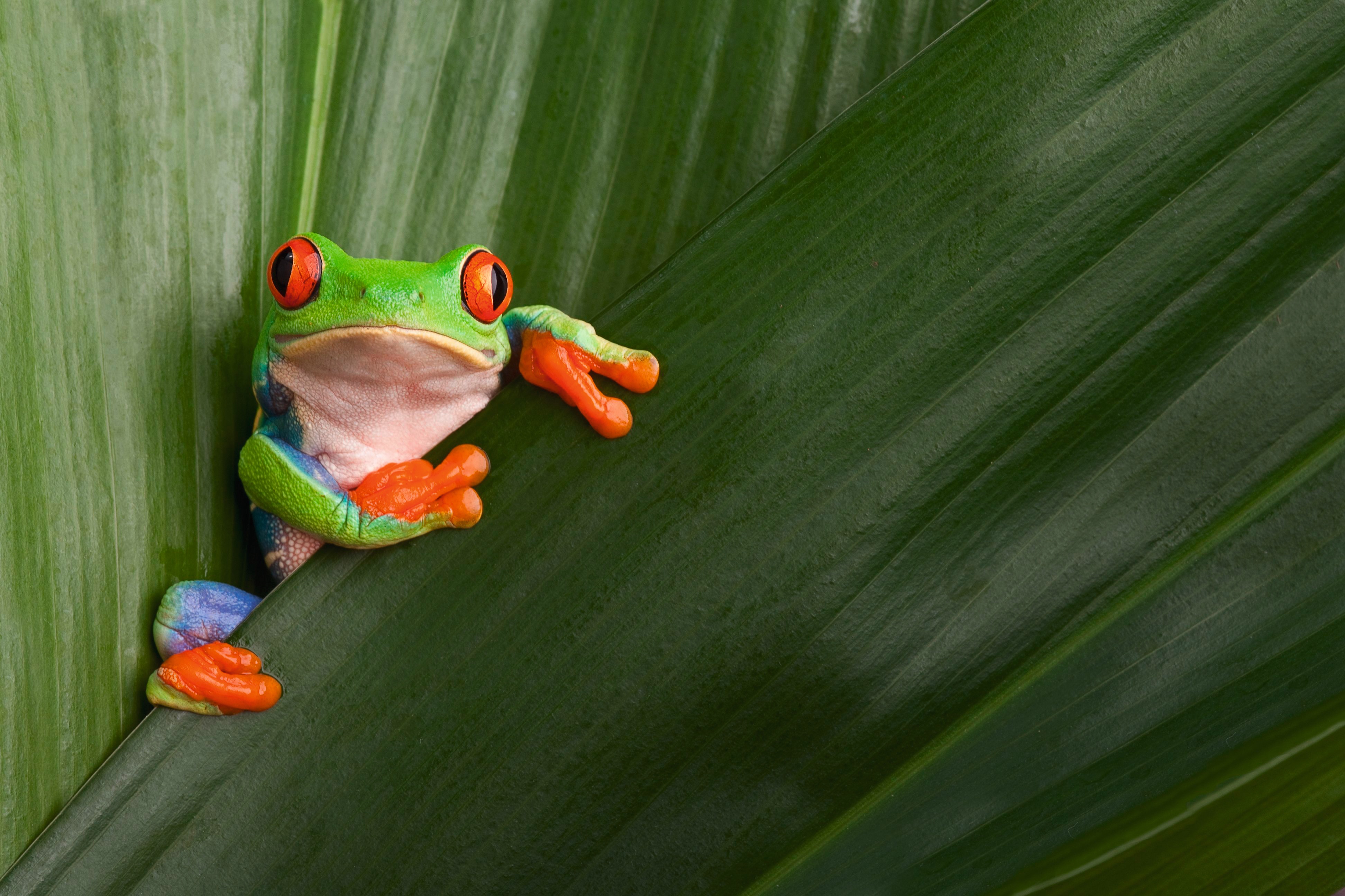 Costa Rica: Mit Flair