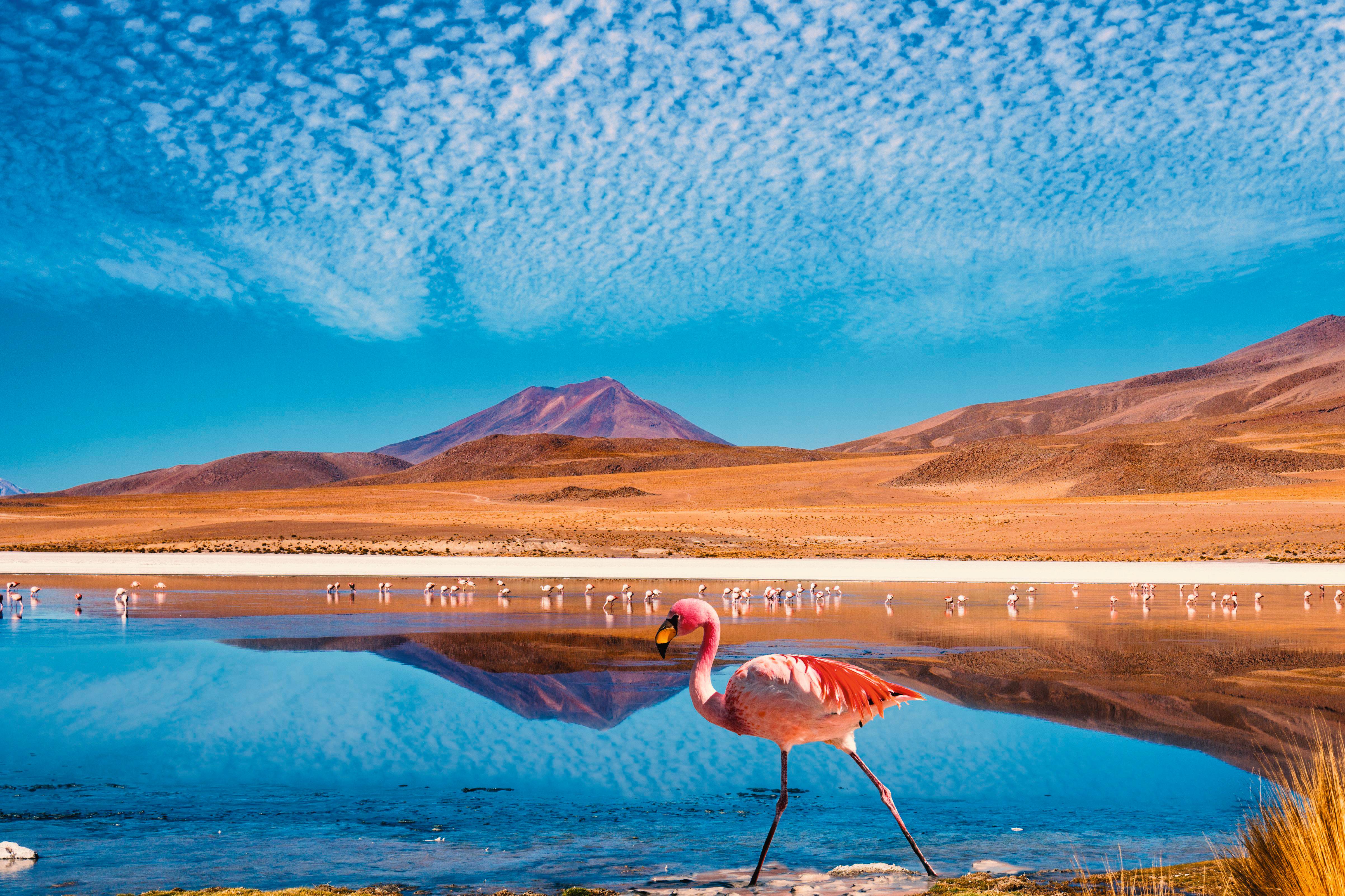 Chile: Höhepunkte