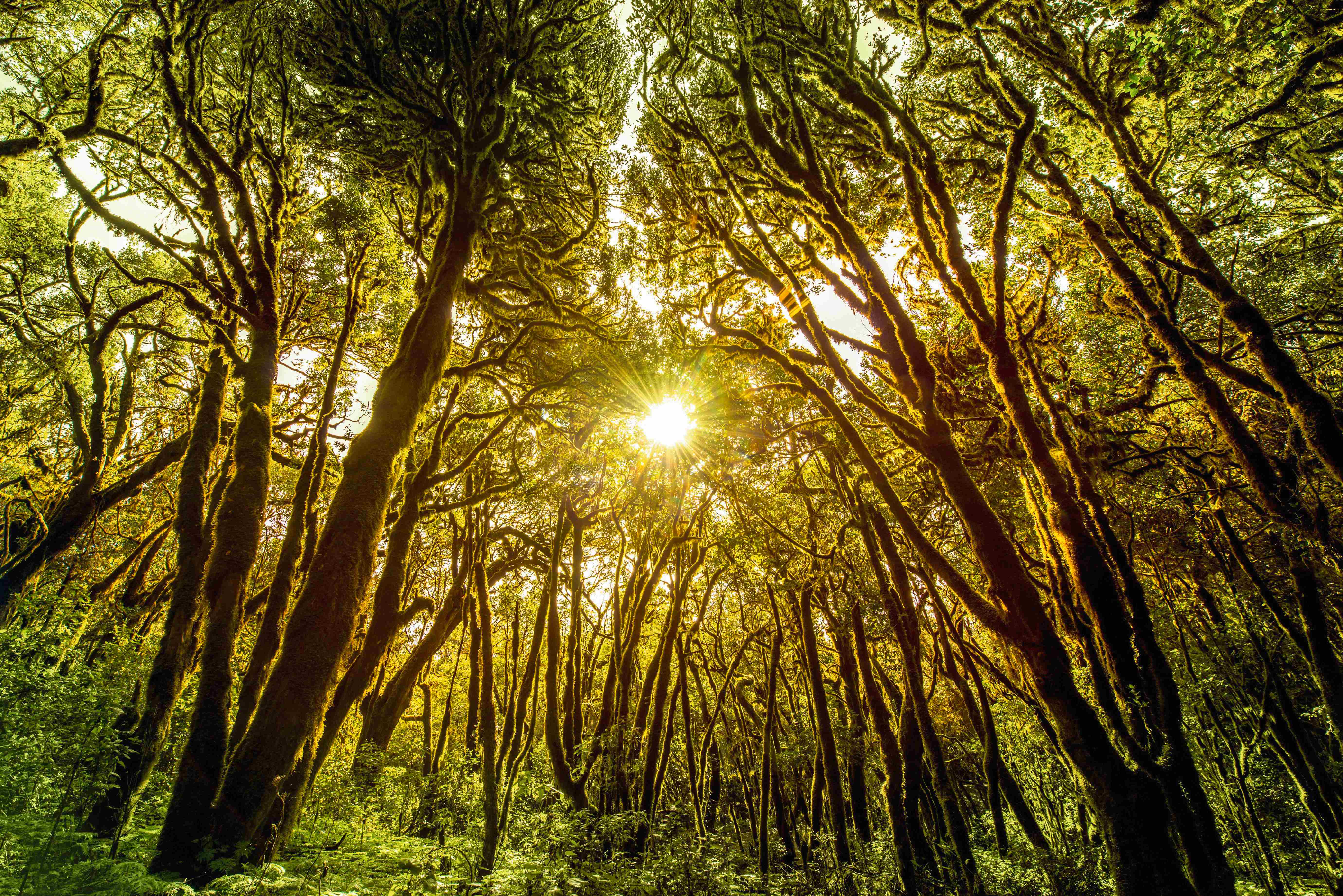 La Gomera: Wandern & Erholung