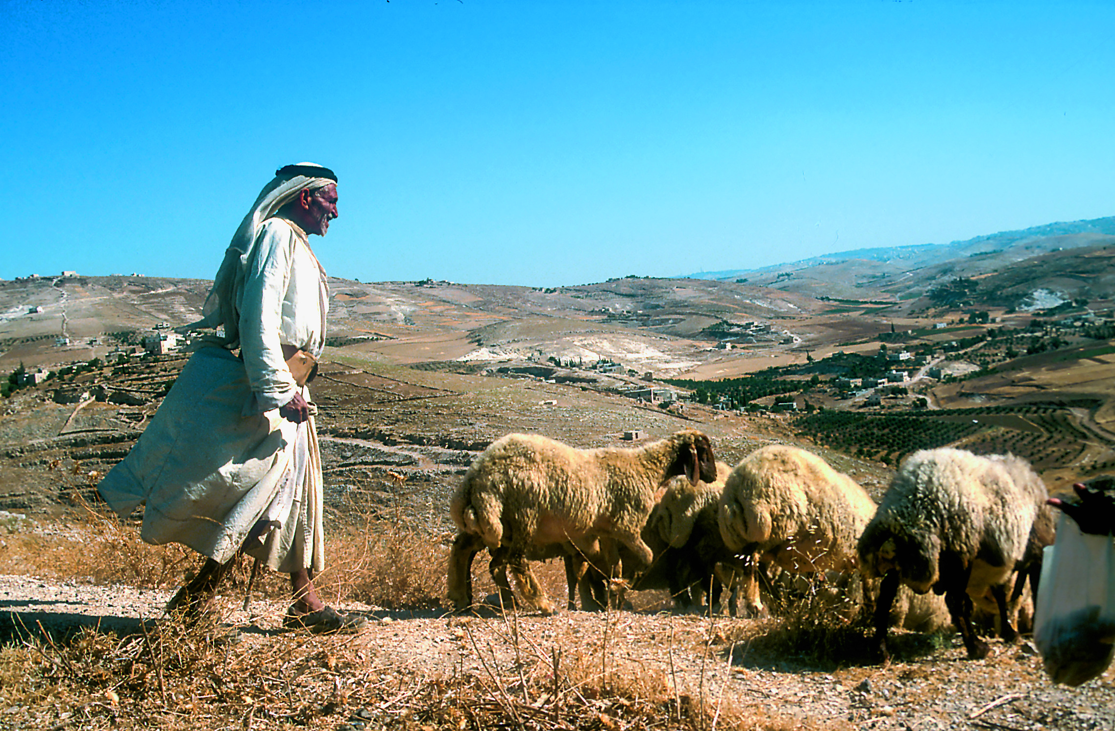 Israel: Höhepunkte